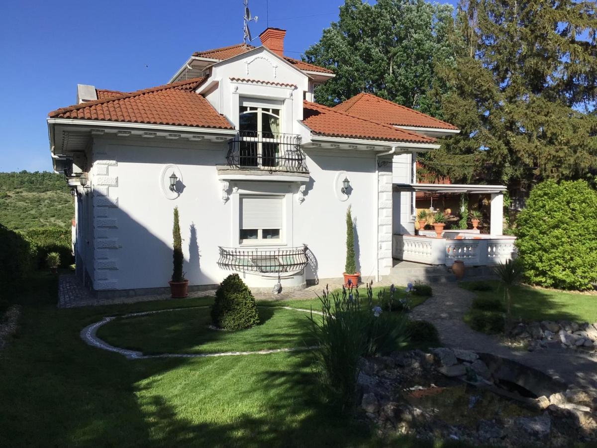 3 Bedroom Private Floor In Luxury Mansion Budapeszt Zewnętrze zdjęcie